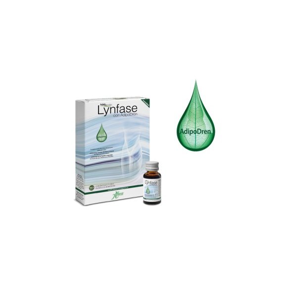 LYNFASE CONCENTRADO FLUIDO MONODOSIS 12 FRASCOS