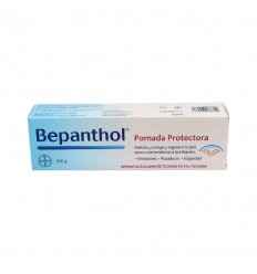 BEPANTHOL POMADA PROTECTORA 100 G