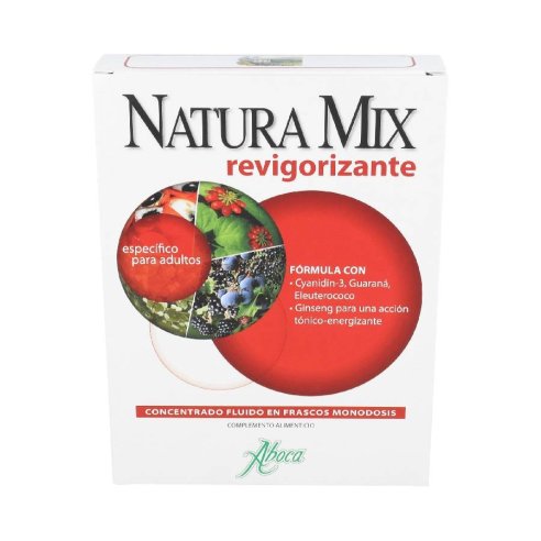 NATURAMIX ENERGIA FLUIDO 10 VIALES 15 G