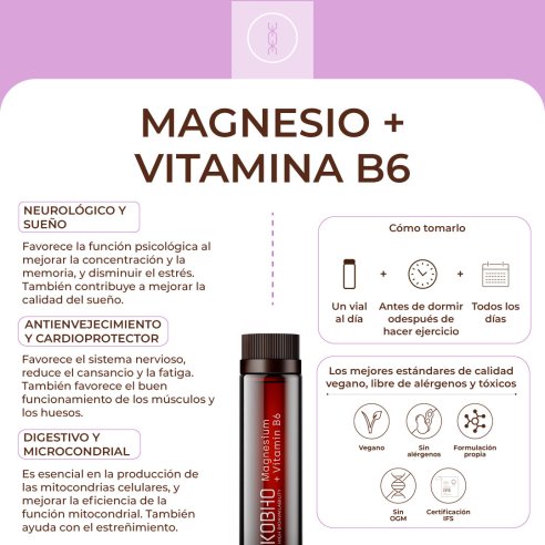 KOBHO MAGNESIO VIT B6 20 VIALES