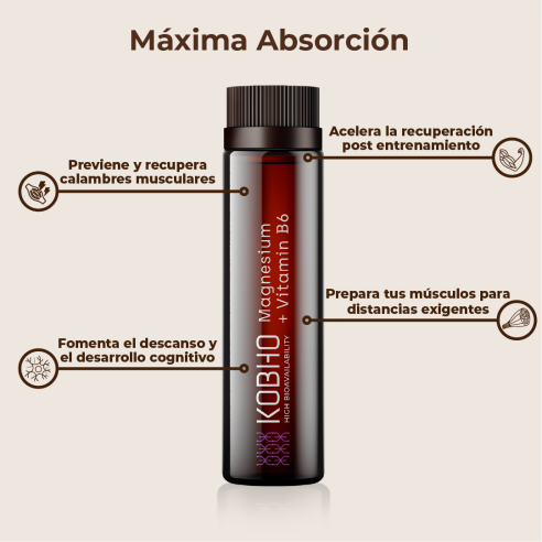 KOBHO MAGNESIO VIT B6 20 VIALES