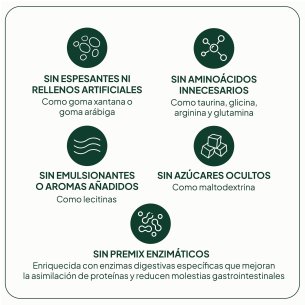 IVB PROTEINA VEGANA 20 TOMAS 2