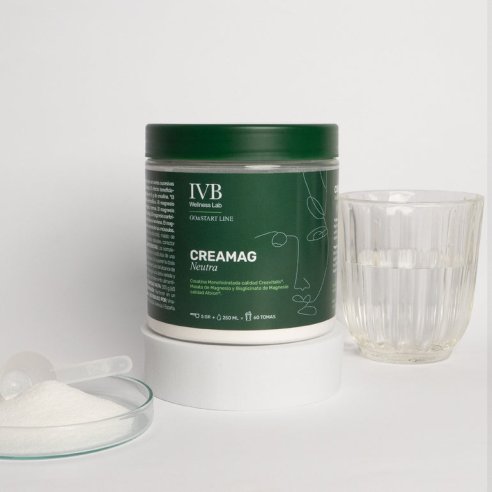IVB CREAMAG SABOR FRESA-KIWI 300 GR.
