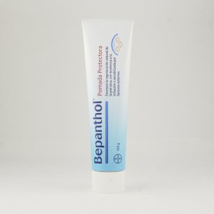 BEPANTHOL POMADA PROTECTORA 100 G 2